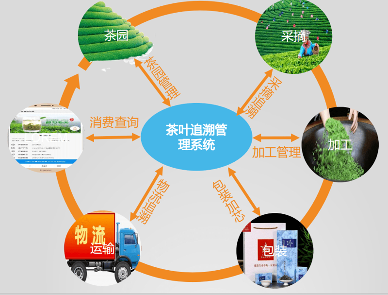 茶叶溯源系统：构建透明茶叶供应链