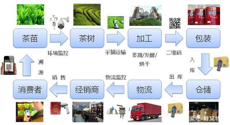茶叶行业新趋势：进销存管理软件助力企业高效运营