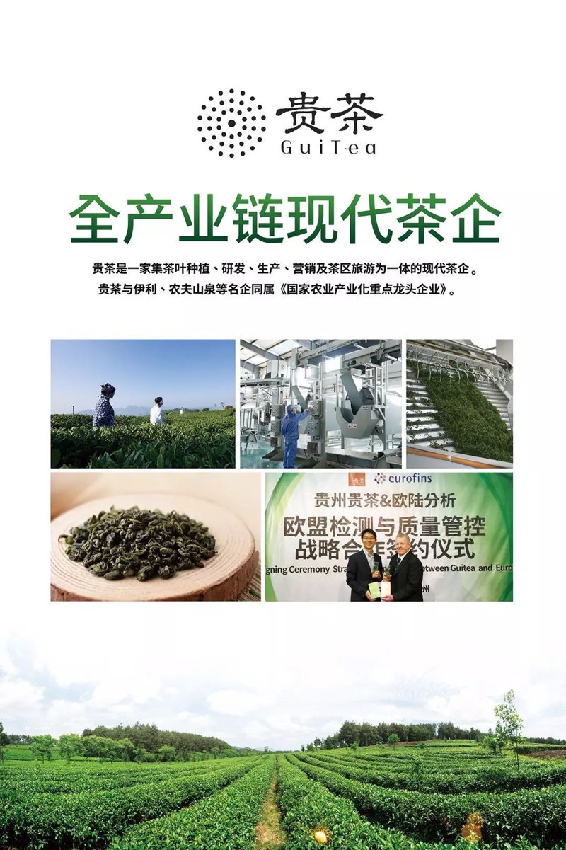智慧茶园：让传统茶业焕发生机