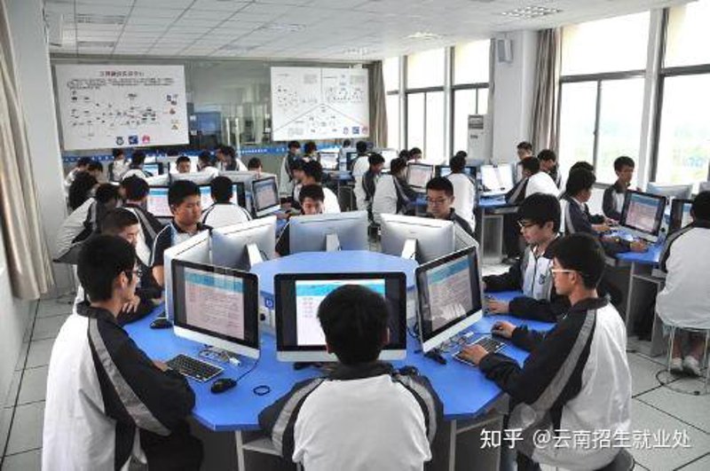 智慧茶园选购指南:科技引领自然之变