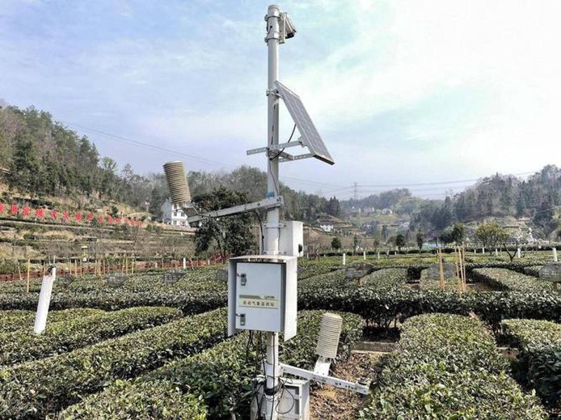 智慧茶园：现代科技引领农业新潮流