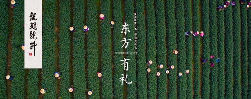 茶叶溯源系统:构建透明茶叶供应链