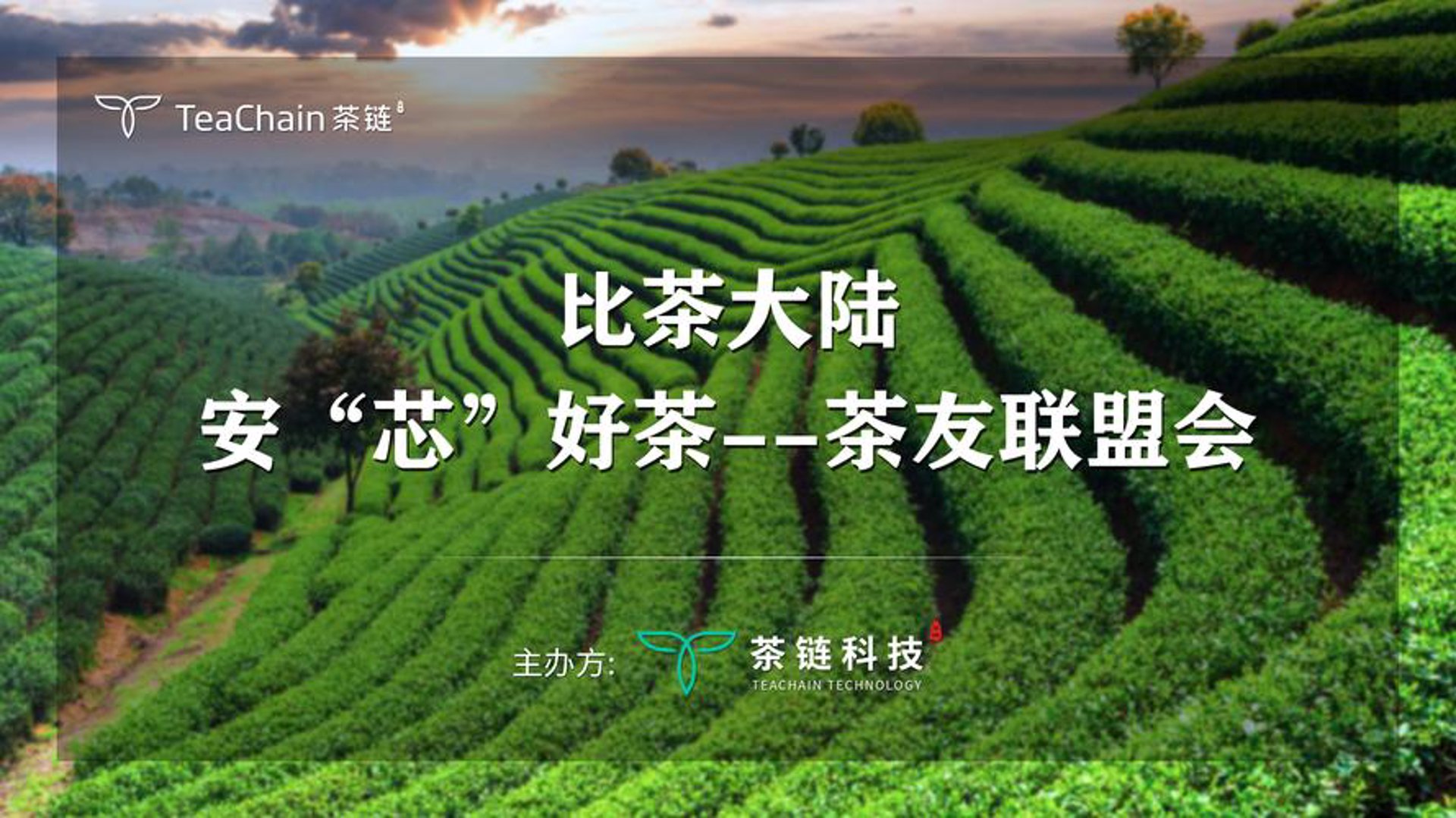 御茗堂茶科技