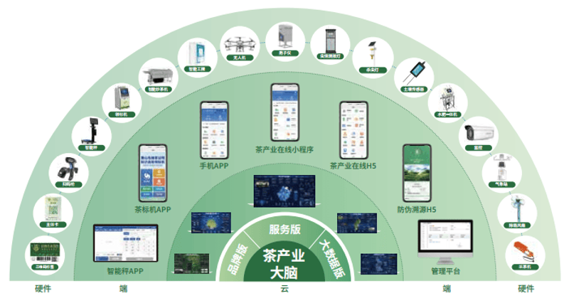探索茶叶品质的秘密武器：溯源系统