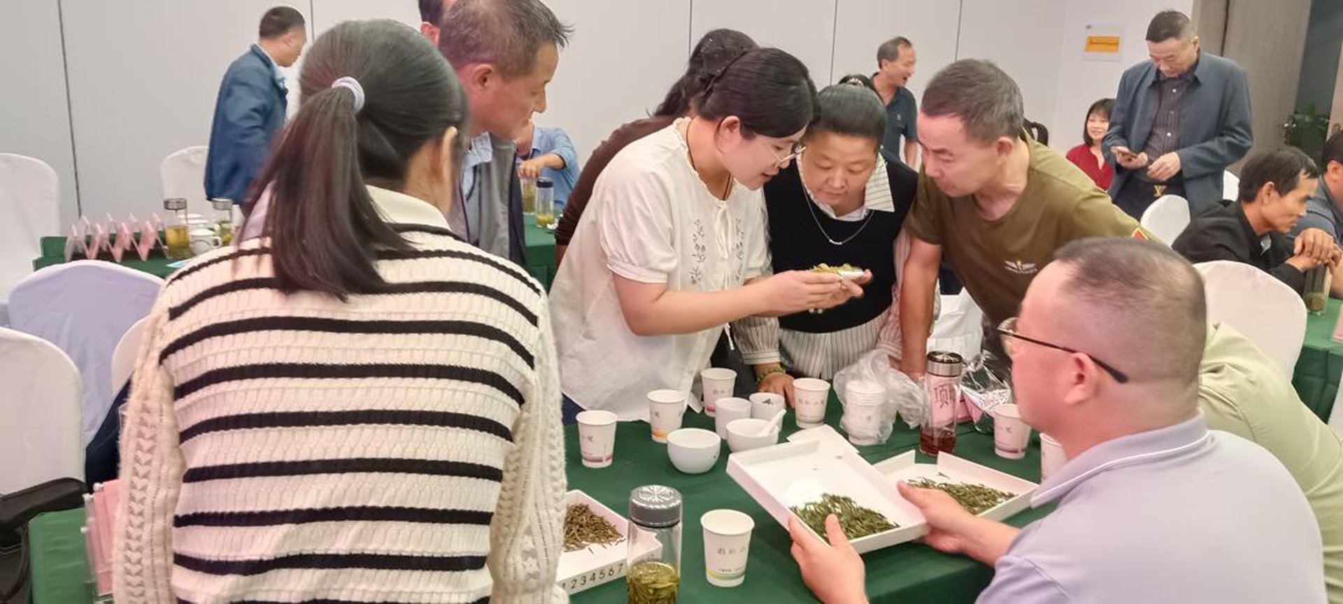 御茗堂茶科技