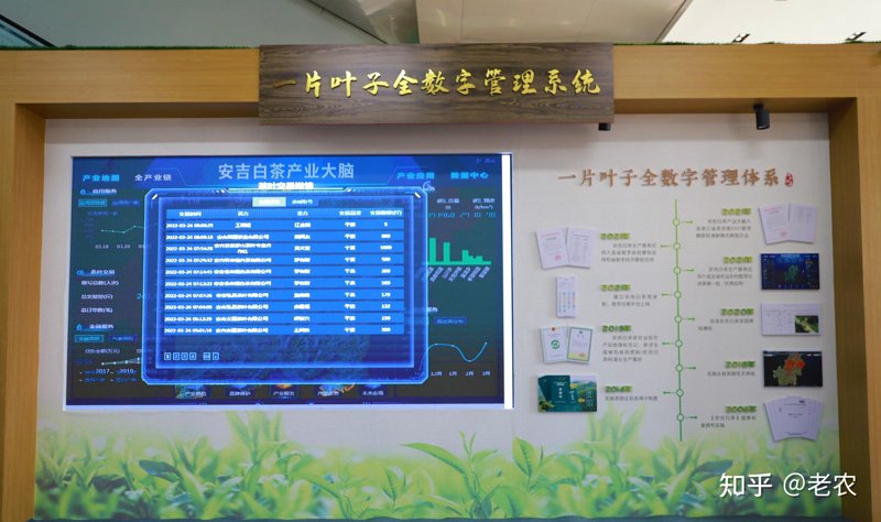 茶产业数字化